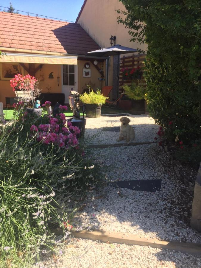 Le Jardin De Theleme "Charme Discret Pour Un Nid Douillet" Villa Mazille Kültér fotó